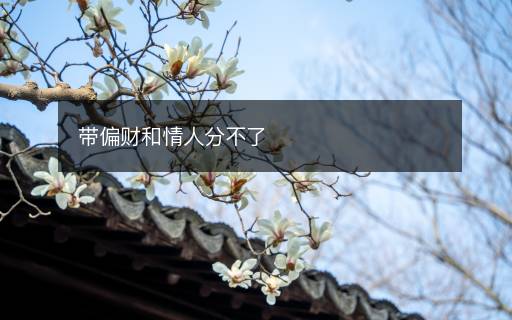 帶偏財(cái)和情人分不了