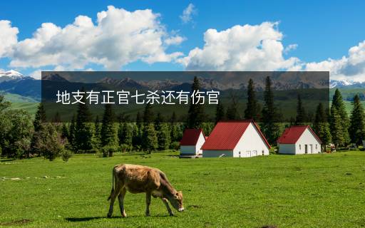 地支有正官七殺還有傷官