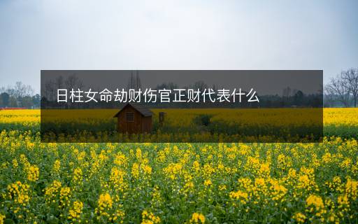 日柱女命劫財(cái)傷官正財(cái)代表什么