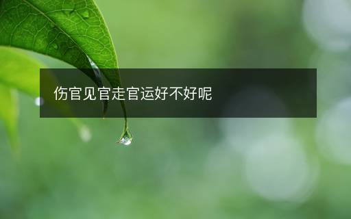 傷官見官走官運(yùn)好不好呢