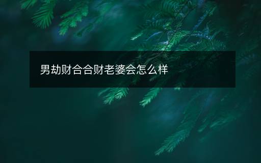 男劫財(cái)合合財(cái)老婆會(huì)怎么樣