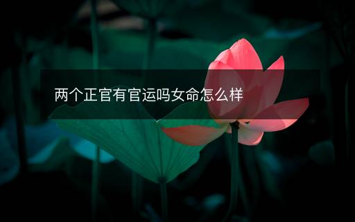兩個正官有官運(yùn)嗎女命怎么樣