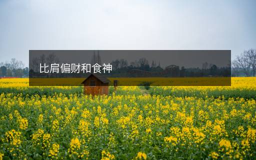 比肩偏財(cái)和食神