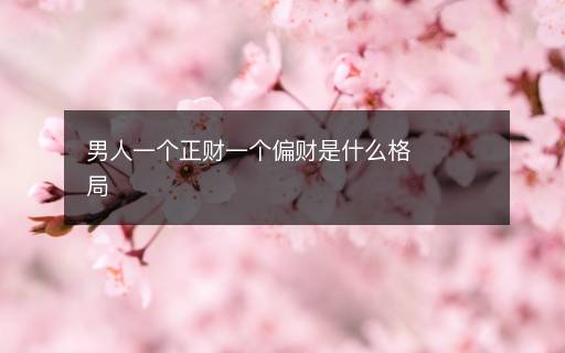 男人一個正財(cái)一個偏財(cái)是什么格局