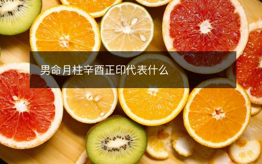 男命月柱辛酉正印代表什么