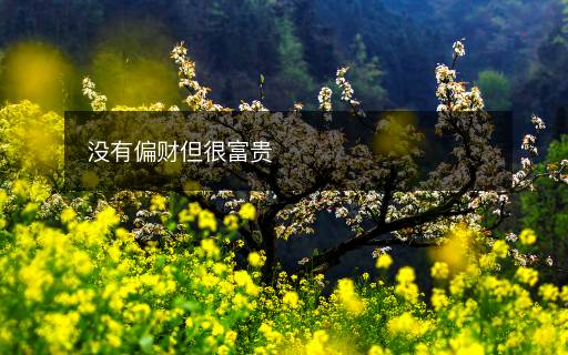 沒有偏財?shù)芨毁F