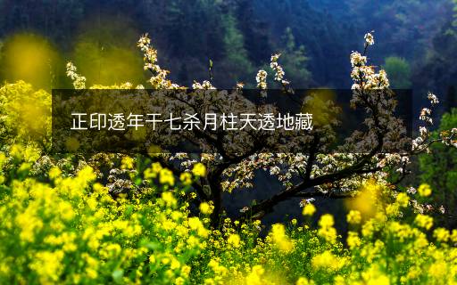 正印透年干七殺月柱天透地藏