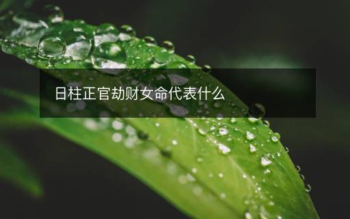 日柱正官劫財(cái)女命代表什么