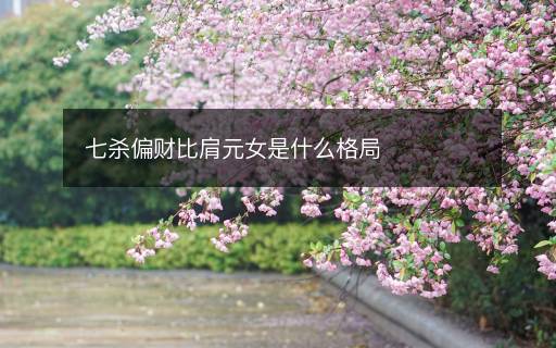 七殺偏財(cái)比肩元女是什么格局