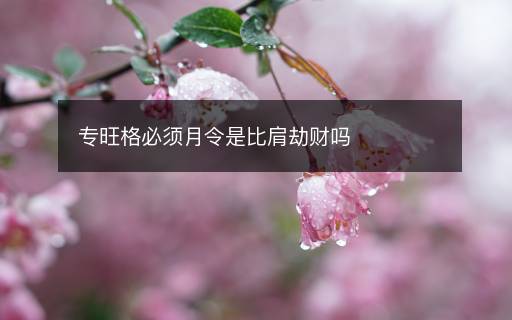 專旺格必須月令是比肩劫財嗎