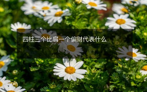 四柱三個(gè)比肩一個(gè)偏財(cái)代表什么
