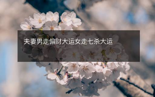 夫妻男走偏財大運女走七殺大運