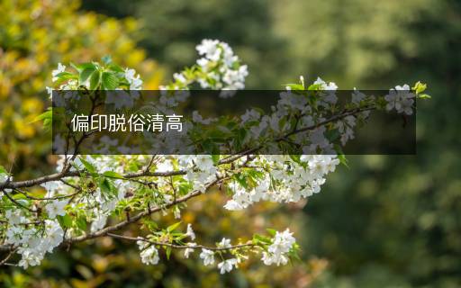偏印脫俗清高