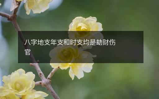 八字地支年支和時支均是劫財傷官