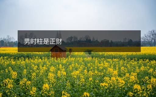 男時(shí)柱是正財(cái)