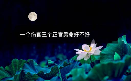 一個(gè)傷官三個(gè)正官男命好不好