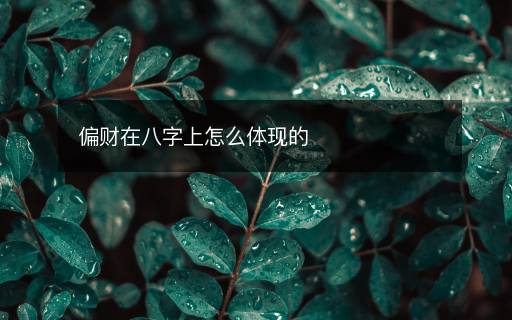 偏財(cái)在八字上怎么體現(xiàn)的