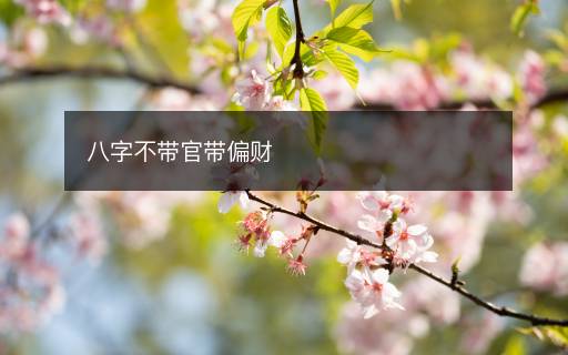 八字不帶官帶偏財