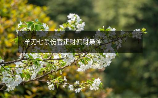 羊刃七殺傷官正財偏財梟神