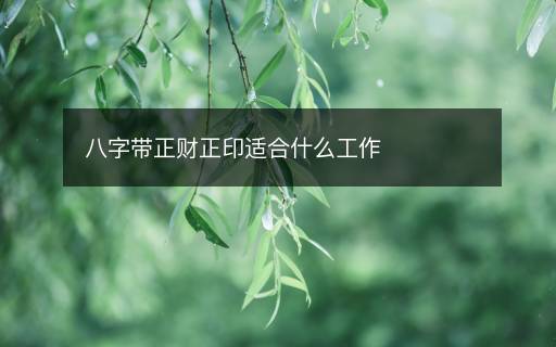 八字帶正財正印適合什么工作