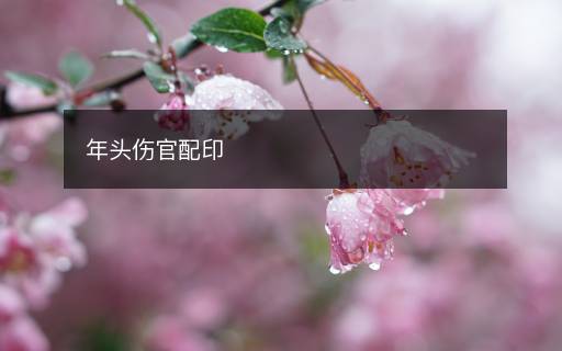 年頭傷官配印