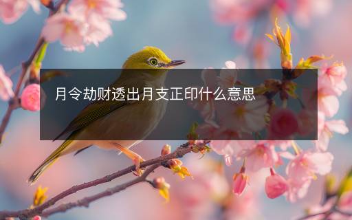 月令劫財(cái)透出月支正印什么意思