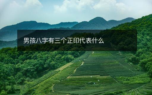 男孩八字有三個正印代表什么