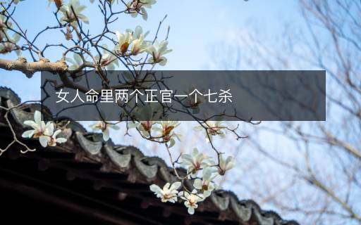 女人命里兩個(gè)正官一個(gè)七殺