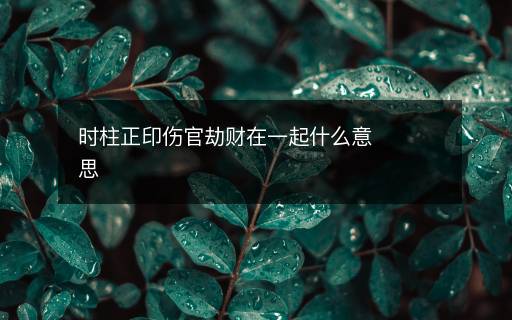 時柱正印傷官劫財在一起什么意思