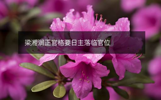 梁湘潤(rùn)正官格要日主落臨官位