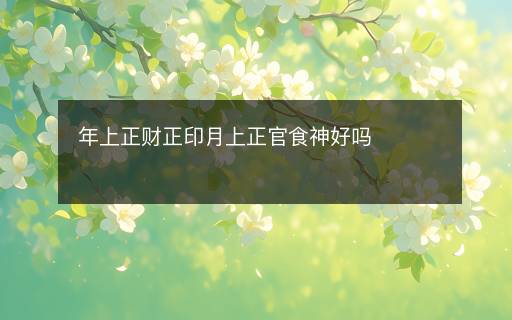 年上正財正印月上正官食神好嗎