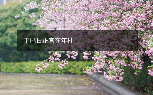 丁巳日正官在年柱