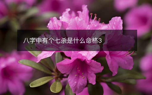 八字中有個(gè)七殺是什么命格3