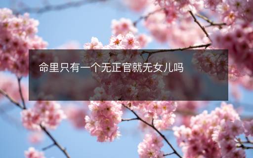 命里只有一個無正官就無女兒嗎
