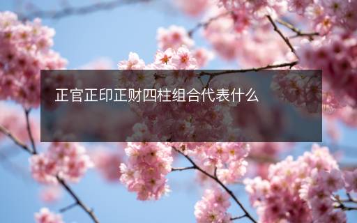 正官正印正財四柱組合代表什么