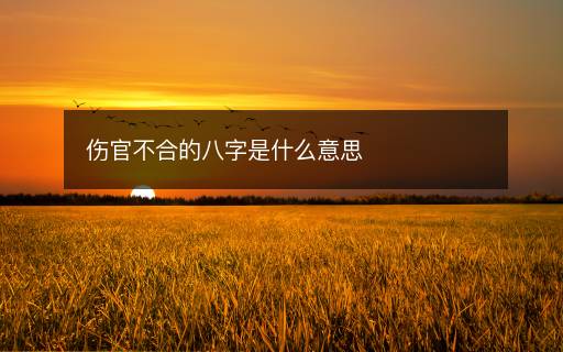 傷官不合的八字是什么意思