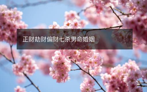 正財(cái)劫財(cái)偏財(cái)七殺男命婚姻