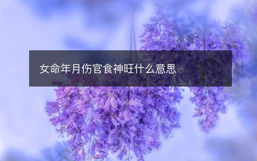 女命年月傷官食神旺什么意思