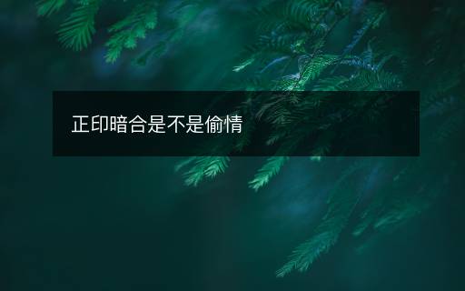 正印暗合是不是偷情
