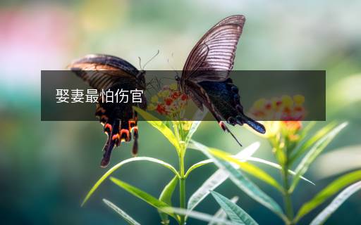 娶妻最怕傷官