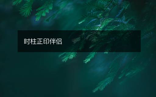 時(shí)柱正印伴侶