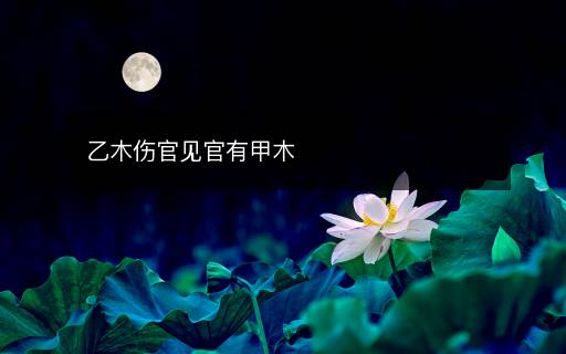 乙木傷官見官有甲木