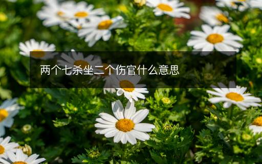 兩個七殺坐二個傷官什么意思