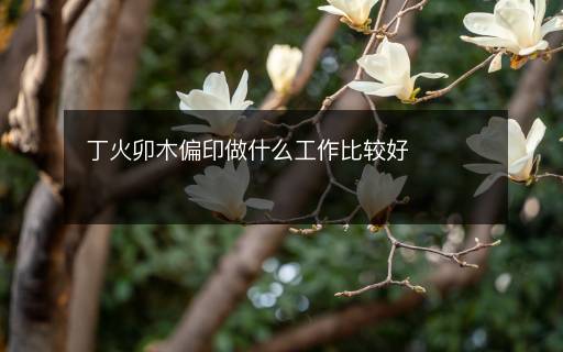 丁火卯木偏印做什么工作比較好