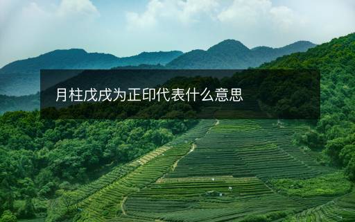 月柱戊戌為正印代表什么意思