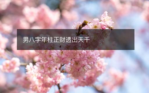 男八字年柱正財(cái)透出天干