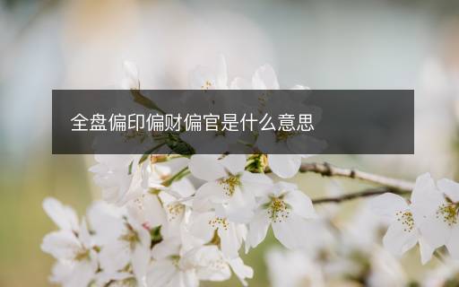 全盤偏印偏財(cái)偏官是什么意思