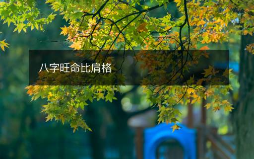 八字旺命比肩格