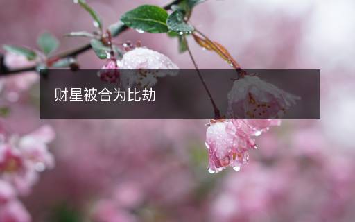 財(cái)星被合為比劫