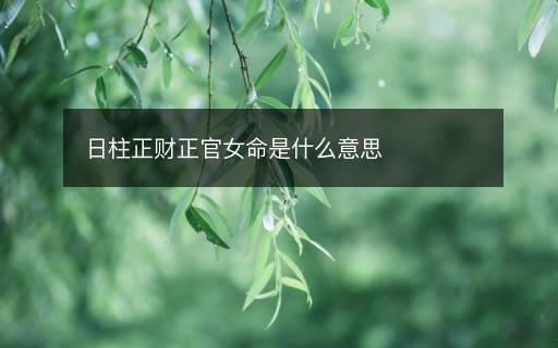 日柱正財(cái)正官女命是什么意思